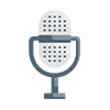 Voice Interaction
