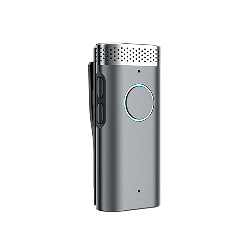 MIC06
