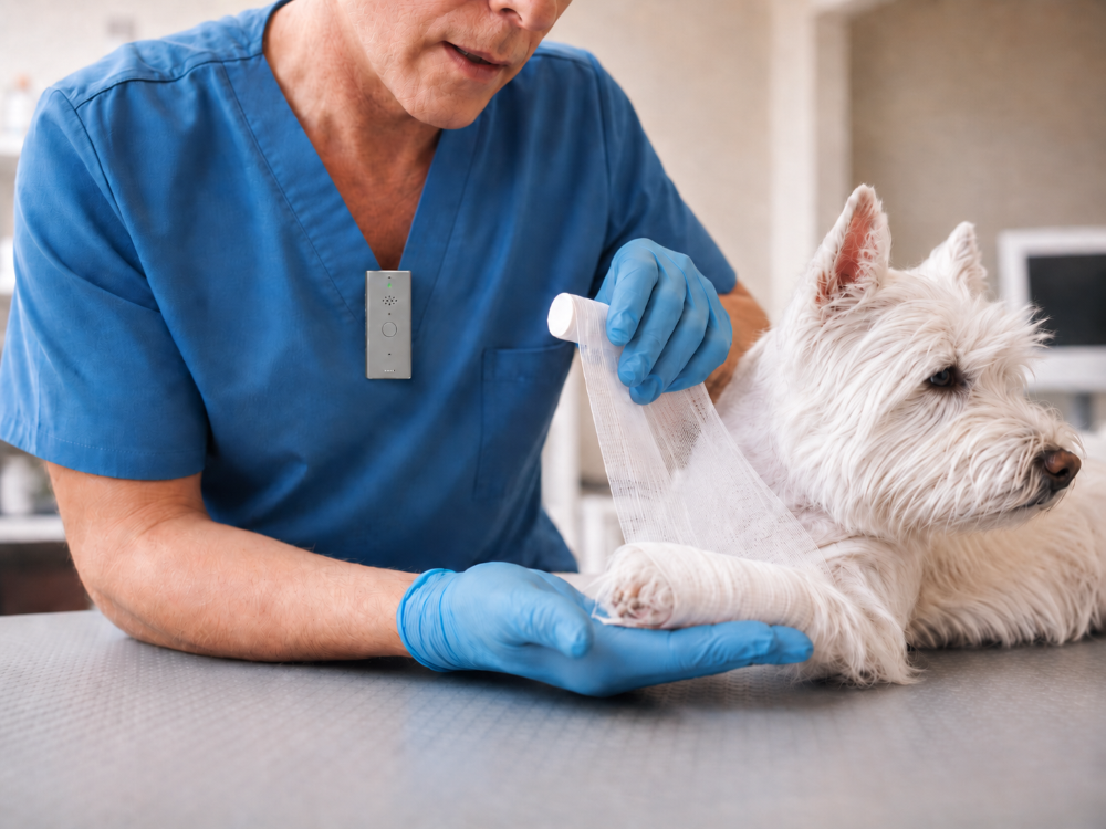 Automatic upload of veterinary voice recordings to the cloud