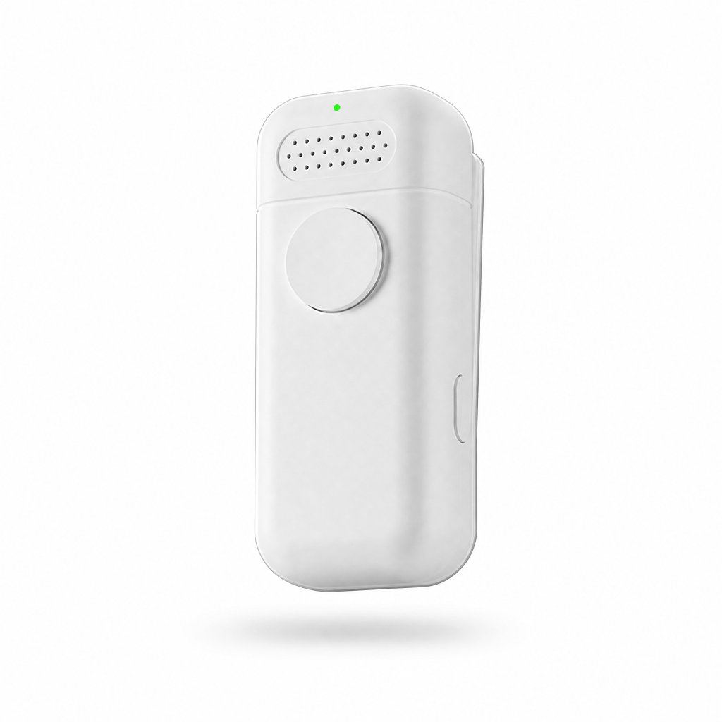 Voice agent hardware placeholder